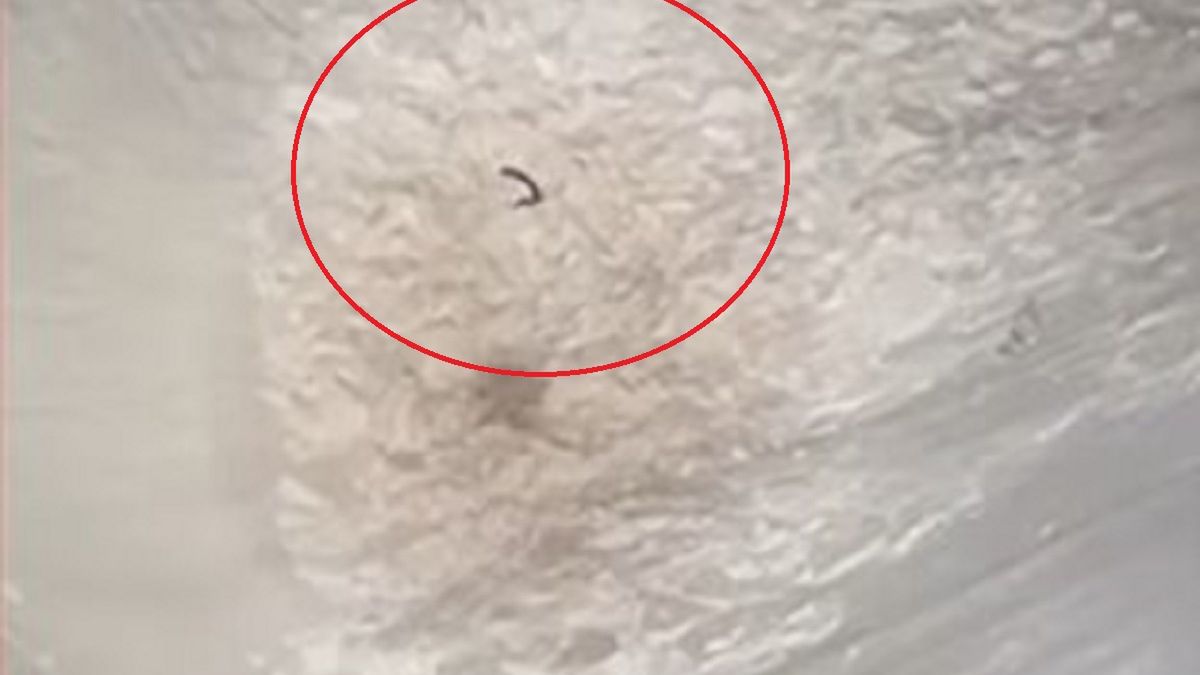 Narciarz został ocalony. Machał ręką do ludzi z helikoptera. 