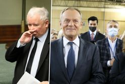 Najnowszy sondaż WP. KO rośnie w siłę, PiS spada przewaga