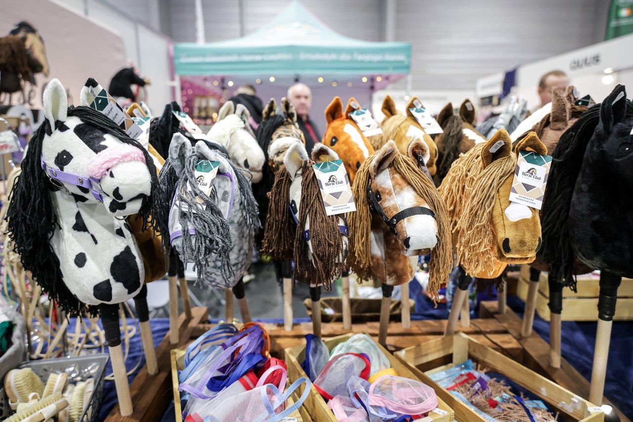 Poznań: Cavaliada. Kucyki, hobby horse i tłumy odwiedzających