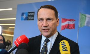 "Od tego może zależeć los tej wojny". Sikorski apeluje do Belgii