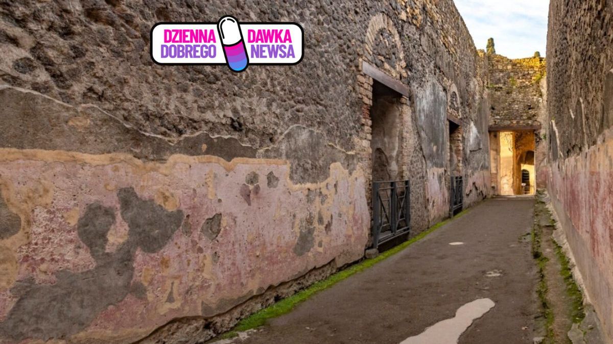 Naukowcy odkrywają tajemnice starożytnych murali