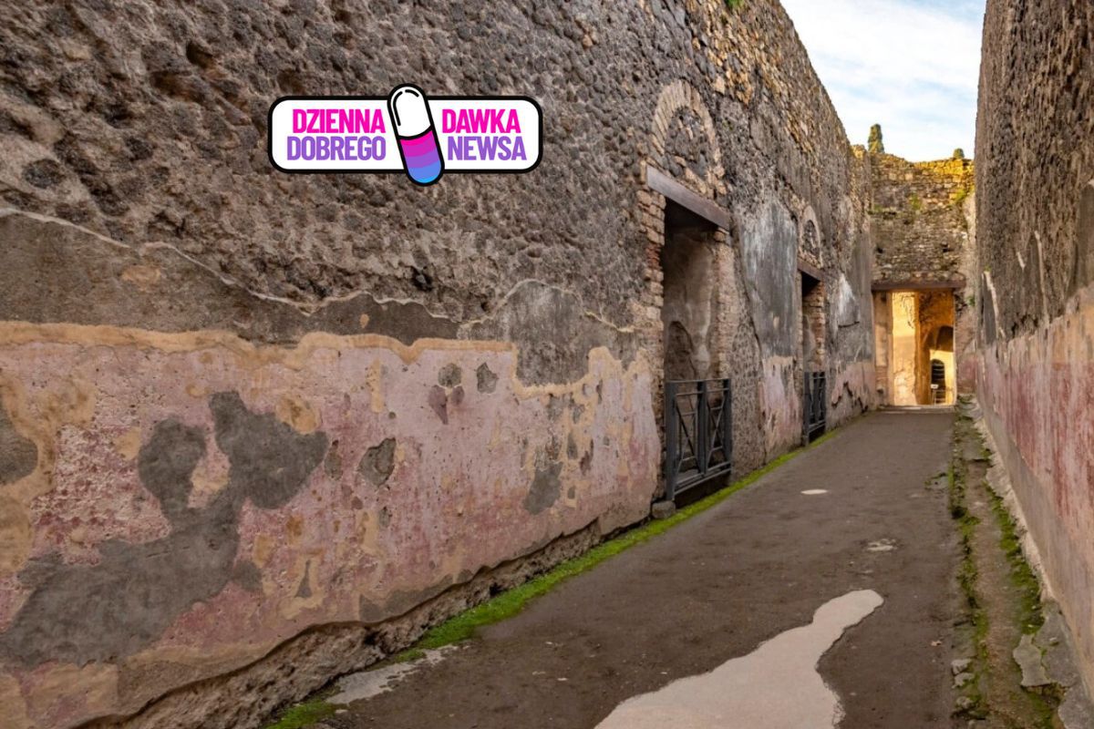 Niesamowite odkrycie w Pompejach. Naukowcy są zaskoczeni. Jest ich aż 79