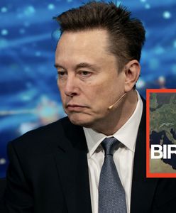 Elon Musk przerażony Polską. "Załamanie cywilizacji"