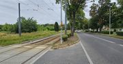 Gorzów: Rozbudowa ul. Walczaka zatrzymana przez lipy. 20 lat później wciąż nie ma planu