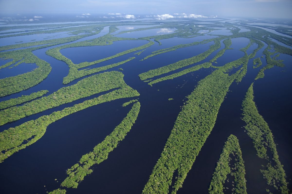 Rio Negro to największy lewy dopływ Amazonki w Brazylii