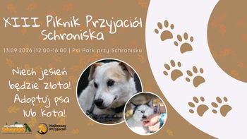 XIII Piknik Przyjaciół Schroniska już 13 września w Toruniu