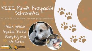 XIII Piknik Przyjaciół Schroniska już 13 września w Toruniu