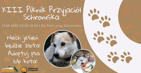 XIII Piknik Przyjaciół Schroniska już 13 września w Toruniu