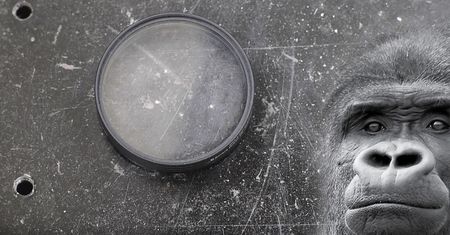 Gorilla Glass może chronić obiektyw także w aparacie cyfrowym