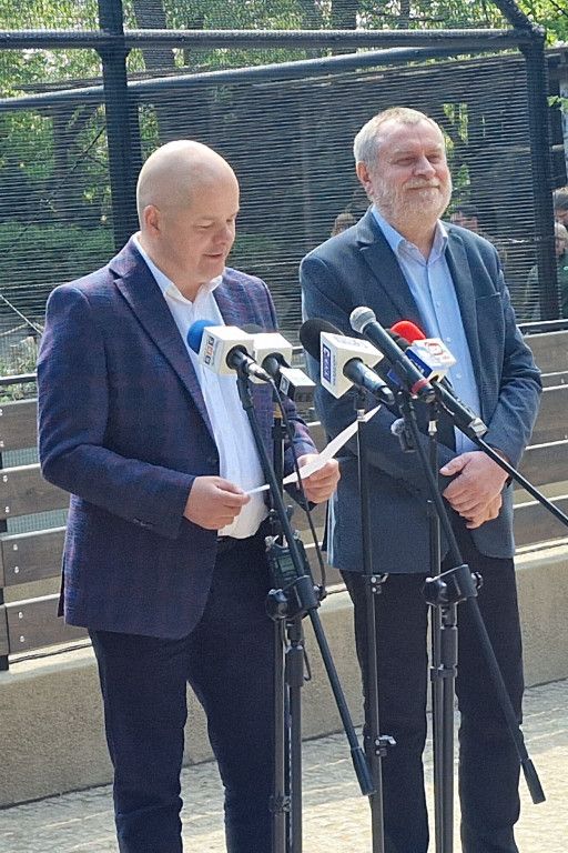 ZOO PŁOCK: Pingwiny Peruwiańskie w nowym wybiegu [FOTO]