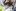 Nissan Rogue 4Dogs