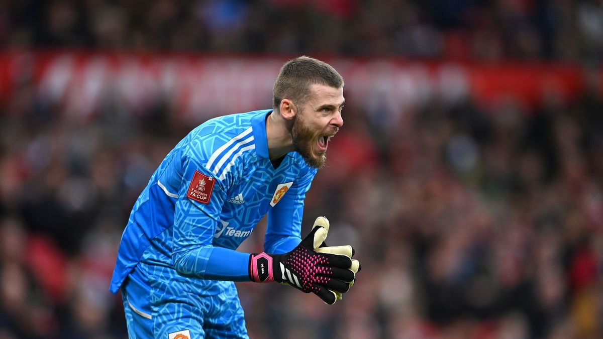 Zdjęcie okładkowe artykułu: Getty Images / Michael Regan / Na zdjęciu: David de Gea