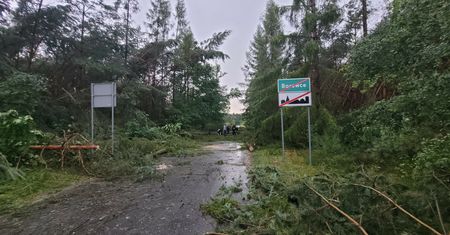 Przerażające świadectwo byłej żony Jacka Jaworka. Oskarża państwo