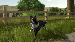 Farming Simulator 25 znacząco zwiększa realizm w oborach i po raz pierwszy w historii pozwala wybrać rasę najlepszego przyjaciela człowieka