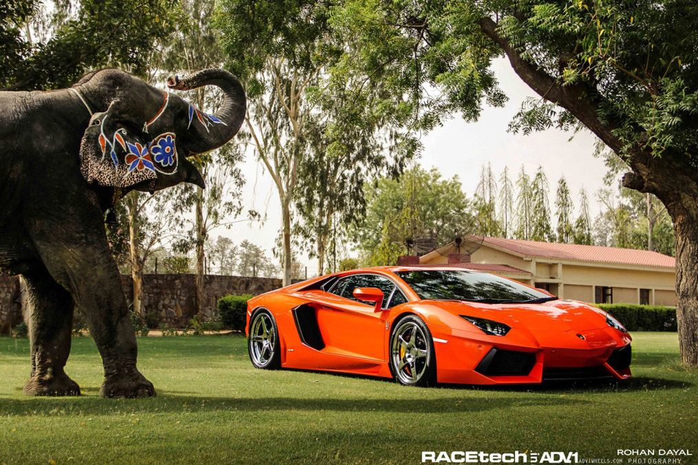 Lamborghini Aventador z felgami ADV.1 (źródło: ADV.1, fot. Rohan Dayal)