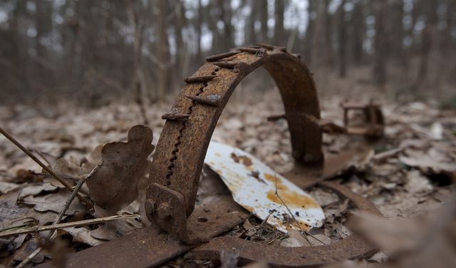 Policja chce, by wszczęto śledztwo ws. radnego PiS