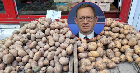 Zamieszanie po alarmie wiceministra. "Ziemniaki nie są problemem"