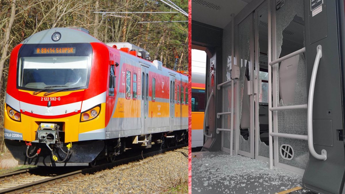 Nastolatkowe zdemolowali pociągi w Lesznie