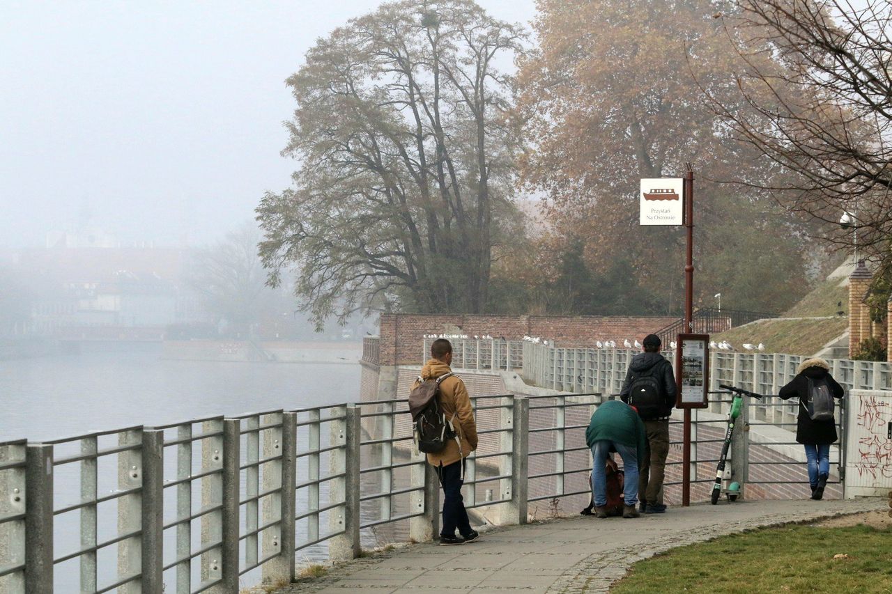 W nocy temperatura spadnie do -4 stopni i to wcale nie w górach