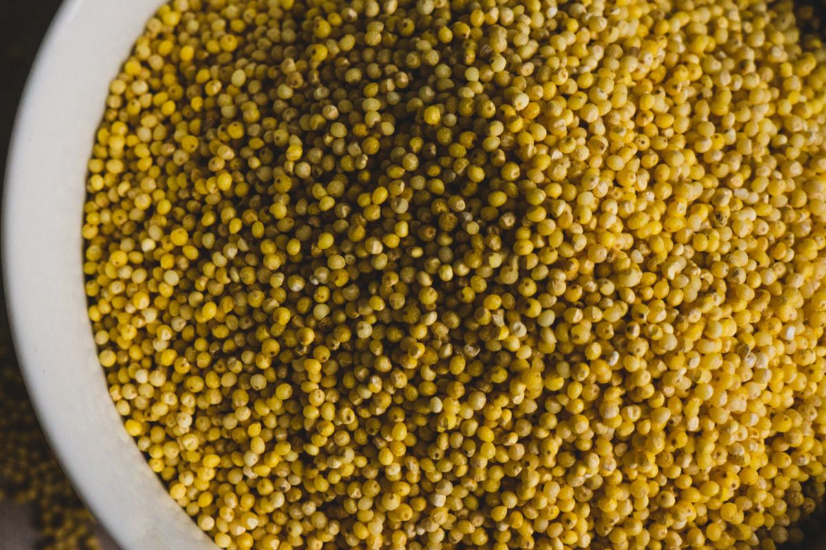 Millet groats are a source of protein.
