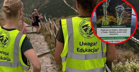 Pilnują turystów na szlakach. Akcja Karkonoskiego Parku Narodowego