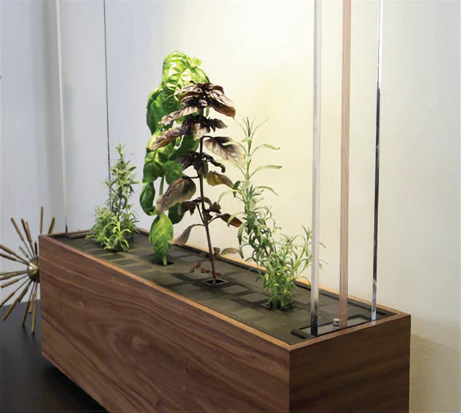 Herb Garden od GardenByte. Inteligentny ogródek w twoim domu 2