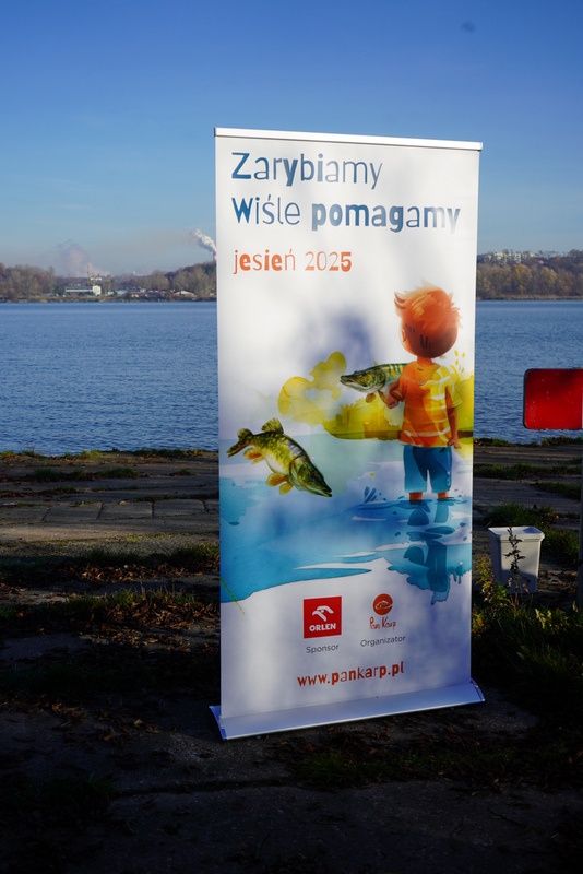 Zarybianie