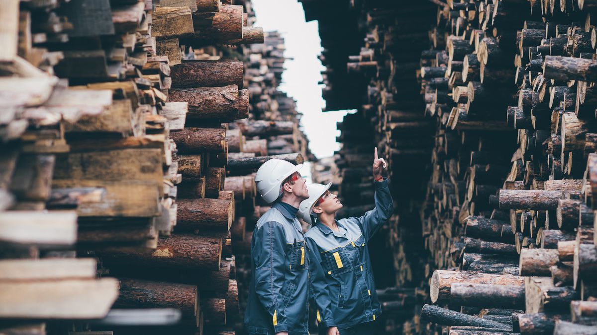 Problemy branży drzewnej mogą zaszkodzić bezpośrednio m.in. producentom mebli. 