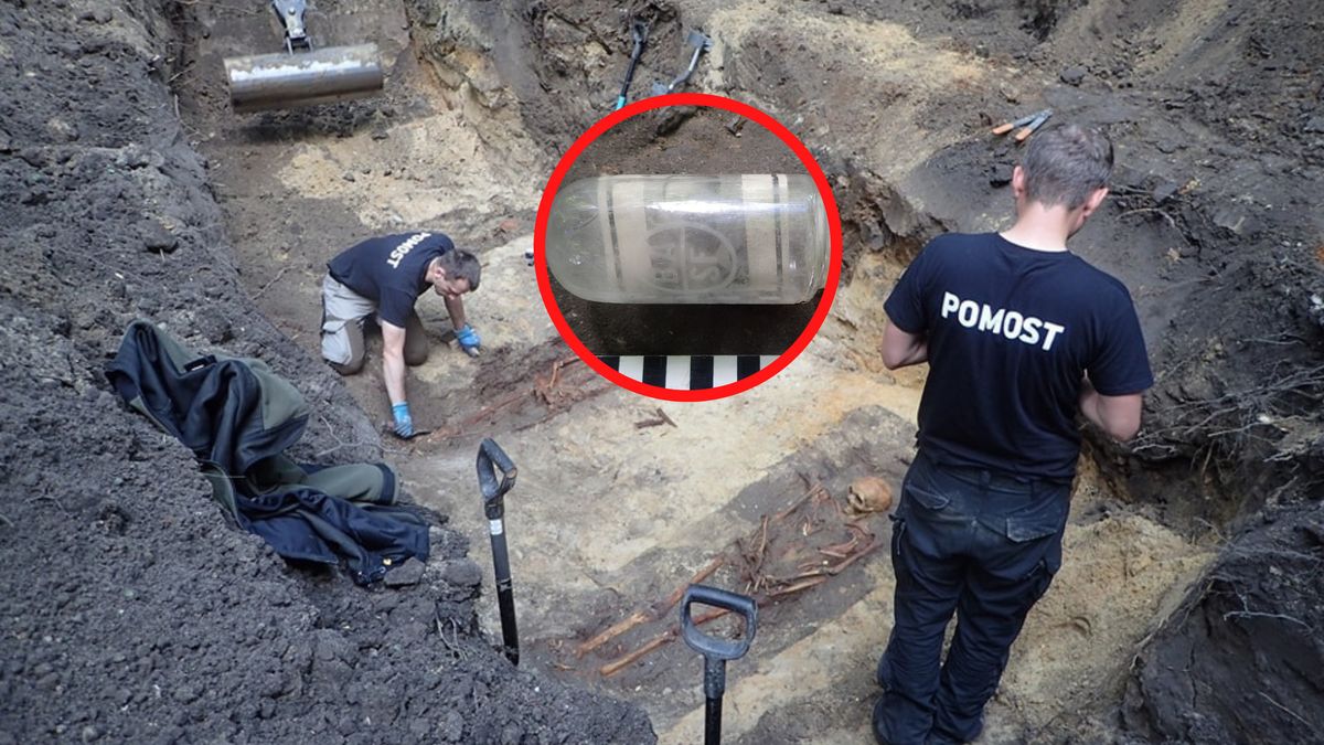 Niezwykłe odkrycie w poznańskim Parku Cytadela.