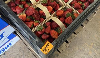 Ceny truskawek astronomicznie wysokie. Rok temu o tej porze były kilkanaście zł tańsze