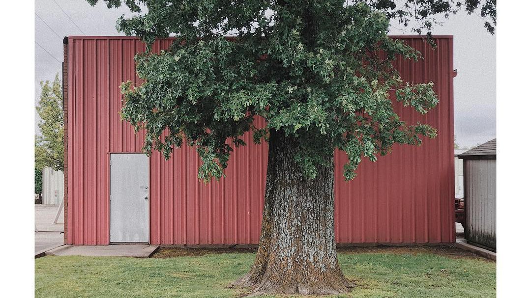 Tajemniczy artysta tworzy niesamowite zdjęcia, ale woli pozostać anonimowy. W jakim celu? 1