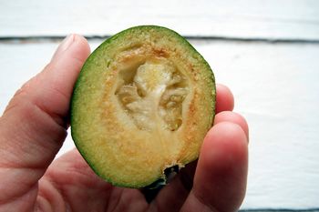 Działa jak tarcza dla tarczycy, reguluje poziom cukru. Polacy nawet nie wiedzą, jak się nazywa