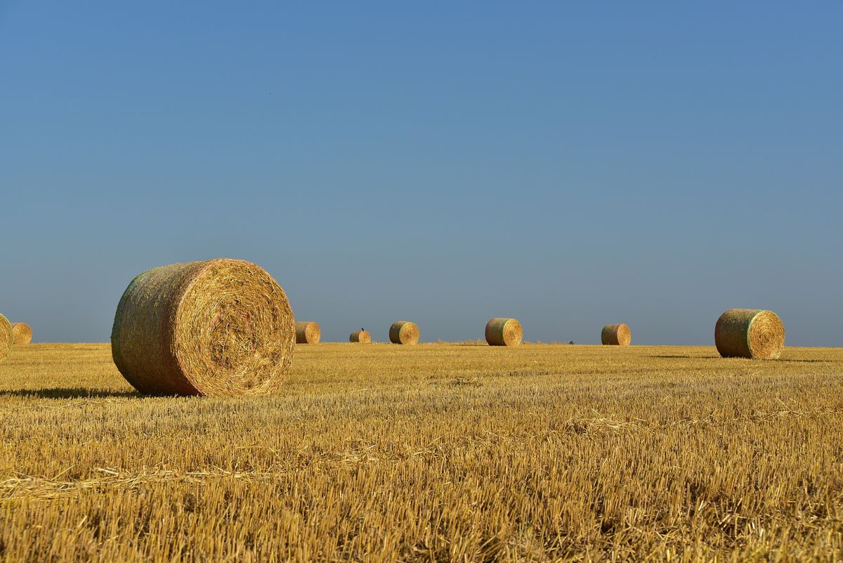 Z nieba nad miejscowością Żywiec spadały tajemnicze obiekty 