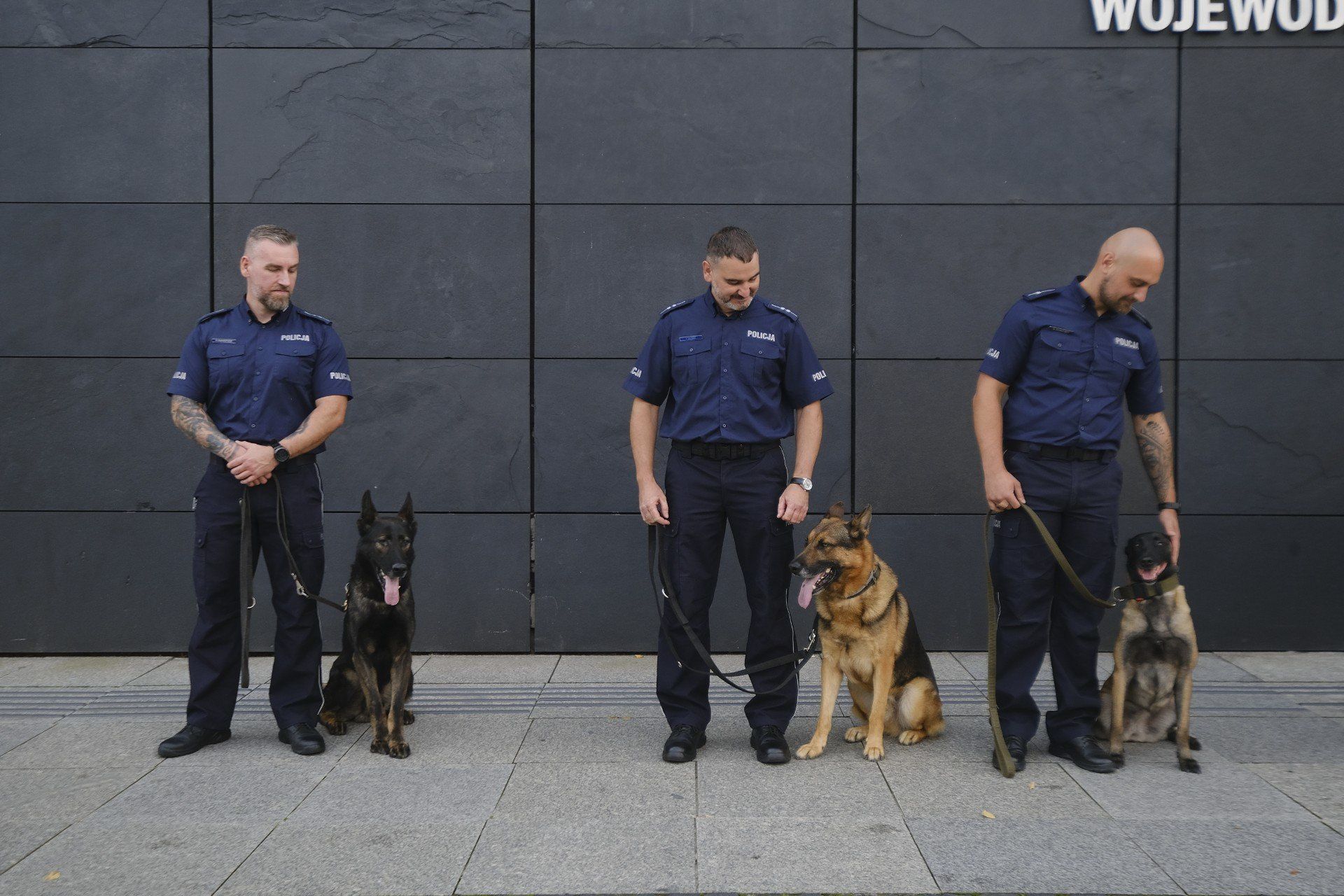 Nagrodzono najlepsze czworonogi w wielkopolskiej policji