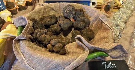 Białe trufle tańsze niż zwykle. Przyczyną nadzwyczajny urodzaj