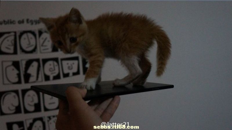 Tydzień w krzywym zwierciadle: kocie przecieki o Xperii ZU i przygody Samsunga z Androidem 1