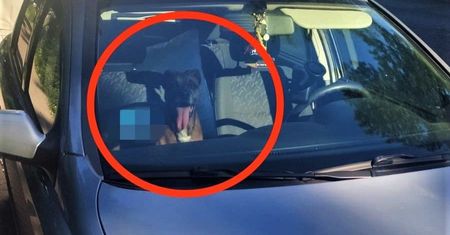Zostawił psa w nagrzanym samochodzie. Poszedł na obiad