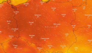 Piątek, prognoza pogody. Żar będzie lał się z nieba. Robi się niebezpiecznie. IMGW ostrzega