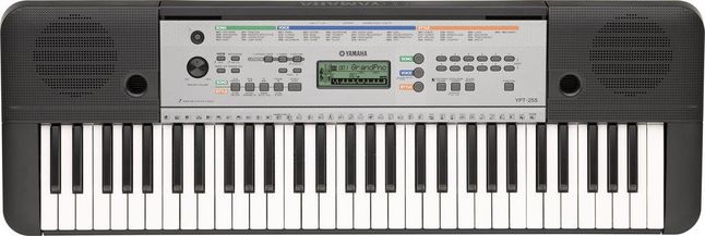 Yamaha YPT 255 w Biedronce za 333 zł