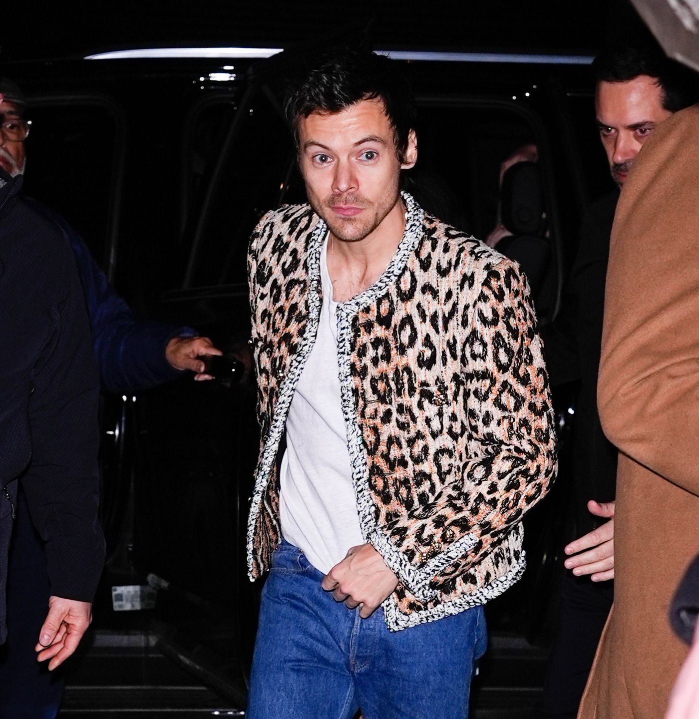 Harry Styles 