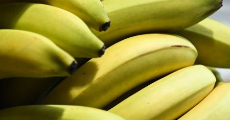 Nowe przepisy dotyczące bananów już obowiązują. Oto zmiany