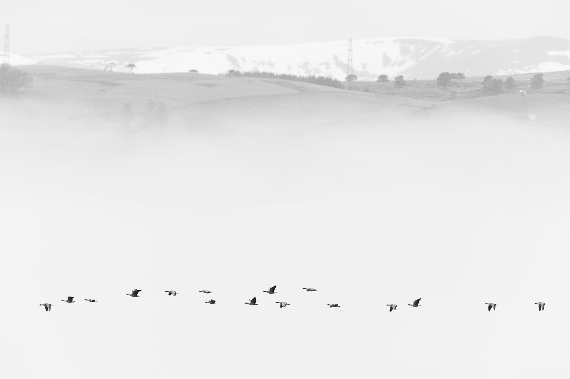 The British Wildlife Photography Awards 2015, czyli fotografia przyrody w najlepszym wydaniu 10