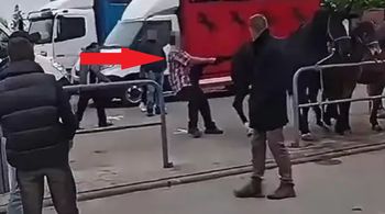 Bulwersujące sceny na końskich targach. Zaatakował konia. Są kolejne decyzje