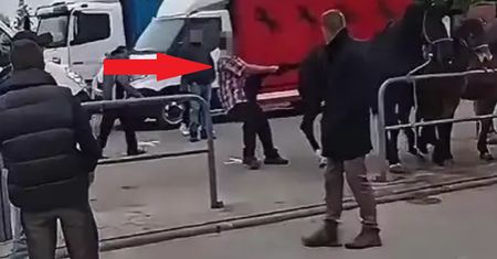 Bulwersujące sceny na końskich targach. Zaatakował konia. Są kolejne decyzje