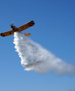 Pożar lasu w Kobyłce. W akcji samolot gaśniczy
