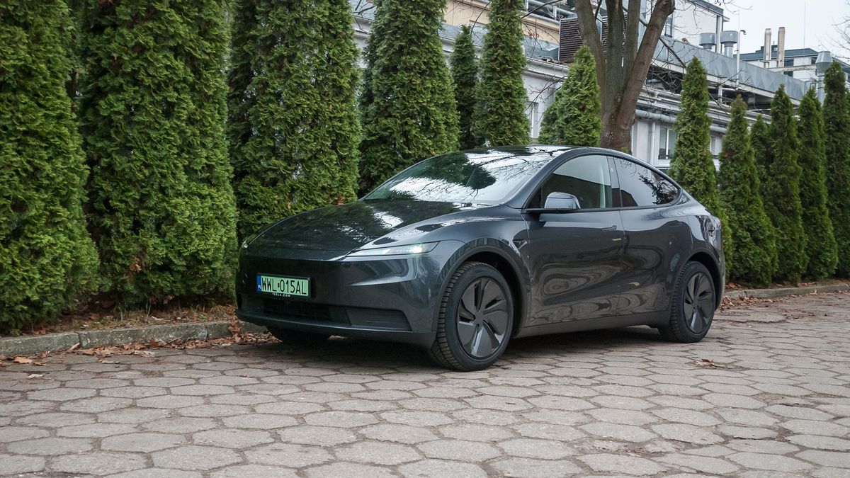 Tesla Model Y Standard