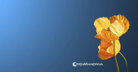 OpenMandriva Lx 3.03 dostępna. Po raz ostatni na 32-bitowe procesory