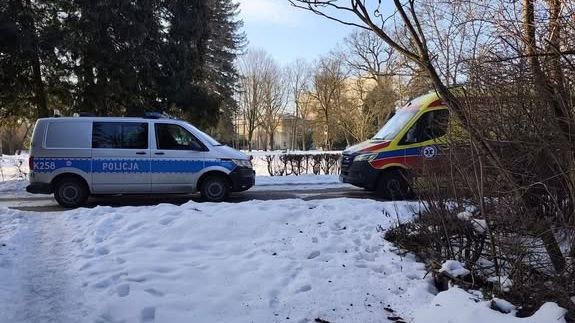 policja