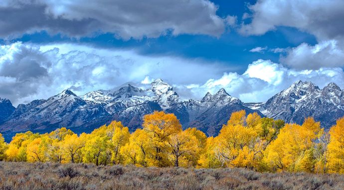 Dziki park Yellowstone