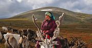 Ostatnie, koczownicze plemiona mongolskie, które żyją razem z reniferami